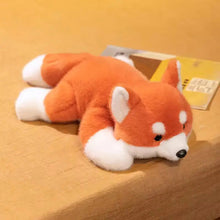 Red Fox