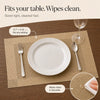 Woven vinyl placemats set of 4 6