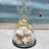 Preserved Rose and Angel in Glass Dome