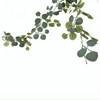 Lighted Eucalyptus Garland