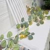 Lighted Eucalyptus Garland