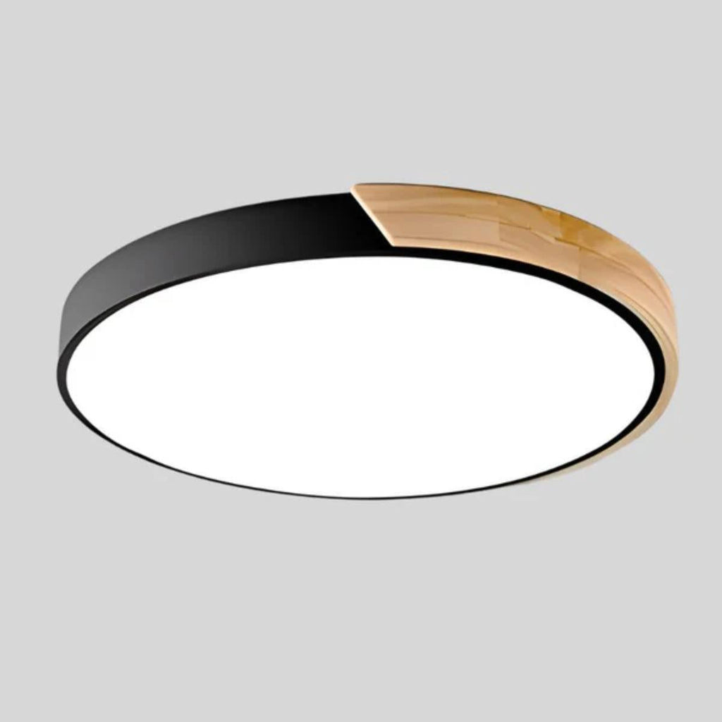 Modern flush mount ceiling light, round LED, product photo 4