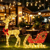 Lighted reindeer and sleigh outdoor Christmas decoration on a front lawn - photo 7