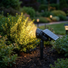 Solar spotlight washing up a green shrub at night