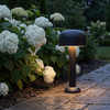 Sand black mushroom pathway light 14.4 in beside white hydrangeas