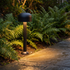 Sand black mushroom pathway light 22.2 in among ferns on a slate walk