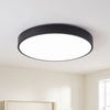 Modern flush mount ceiling light, round LED, black rim