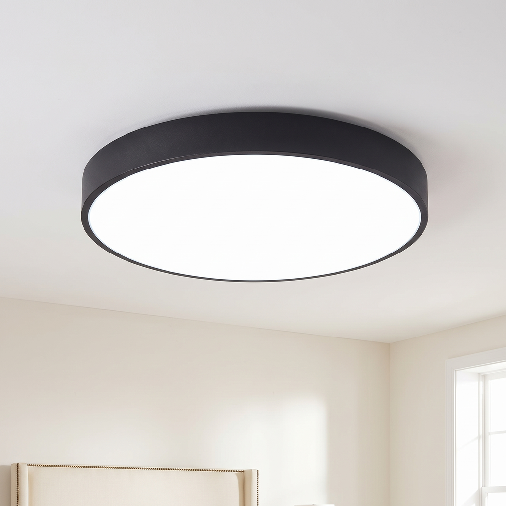 Modern flush mount ceiling light, round LED, black rim