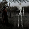 Halloween skeleton hanging from a tree branch outdoors