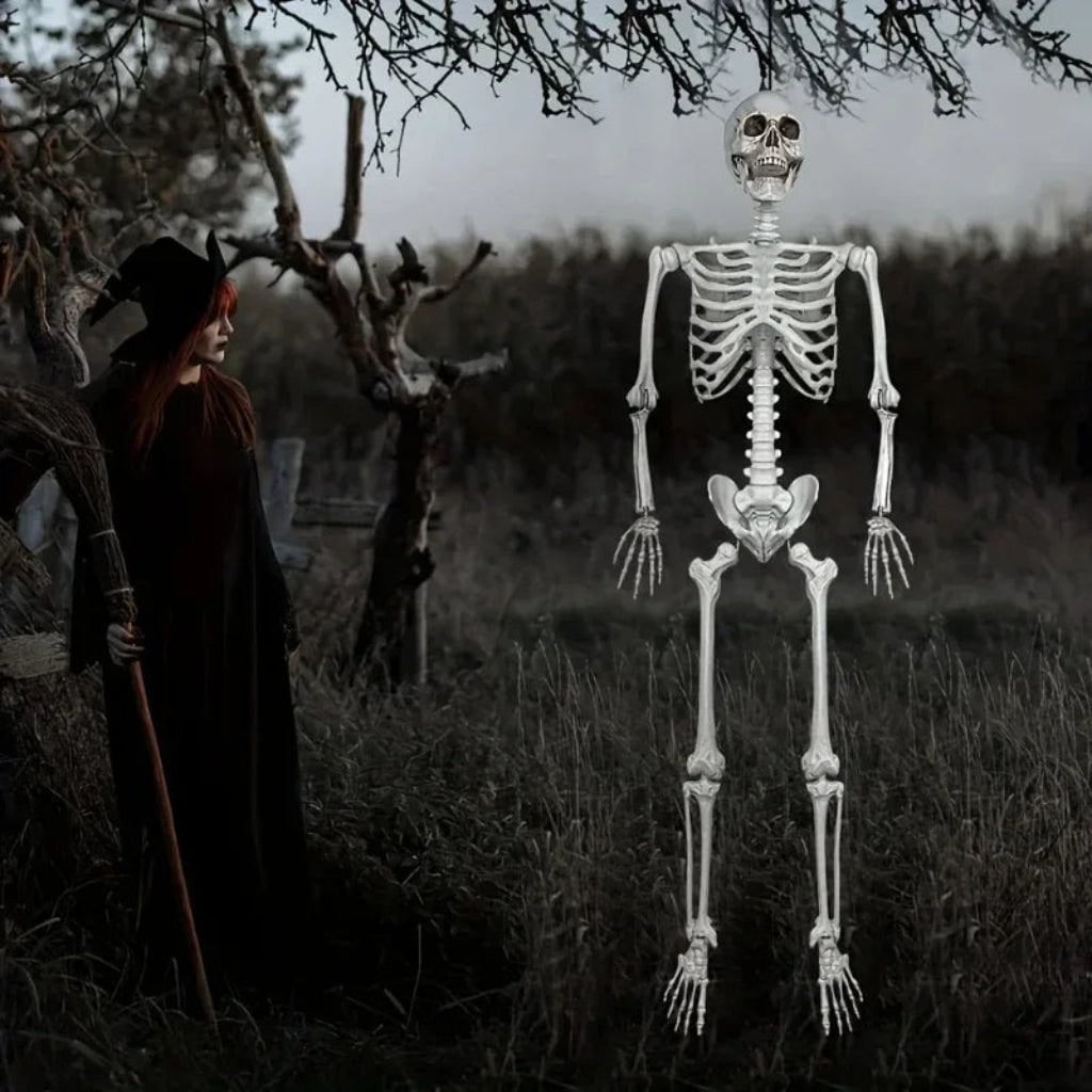 Halloween skeleton hanging from a tree branch outdoors