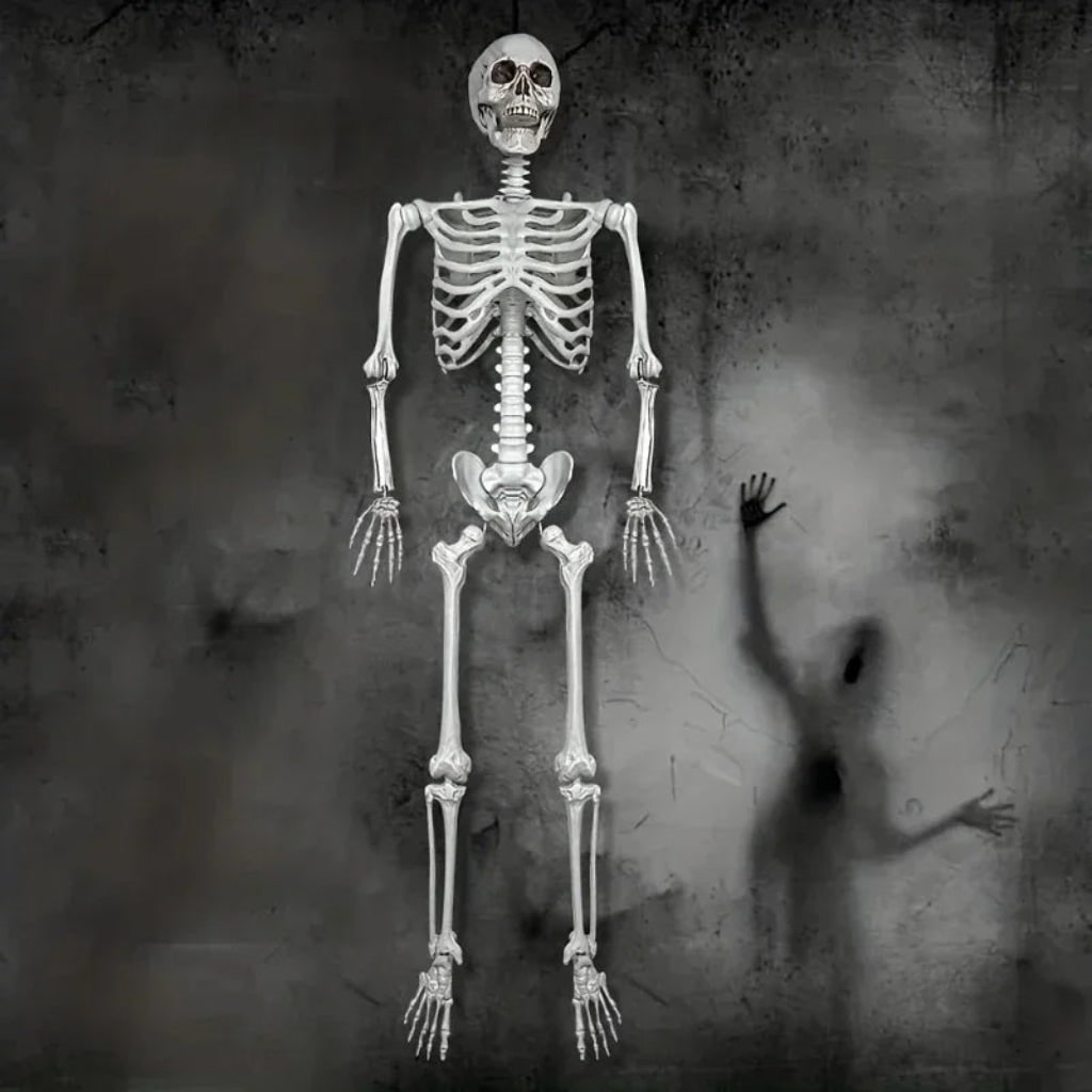 Skeleton decoration posed for a Halloween display