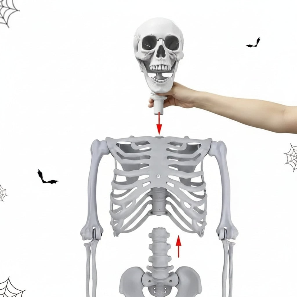 Full body plastic skeleton Halloween prop detail