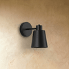 Cordless gold wall sconce with remote, product photo 1